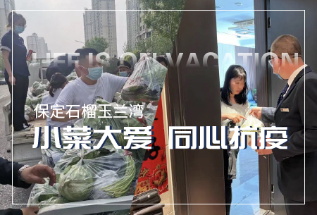 2024新奥资料1688原网